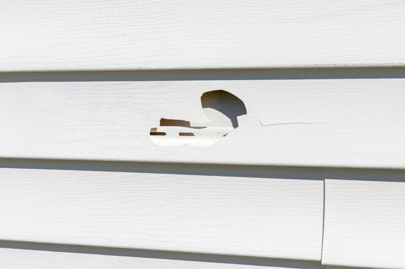 Vinyl Siding Repair Preparation