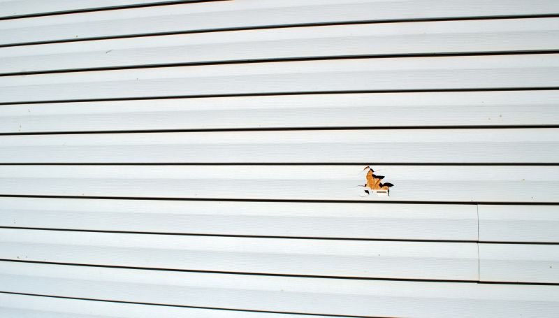 Vinyl Siding Repair Installation